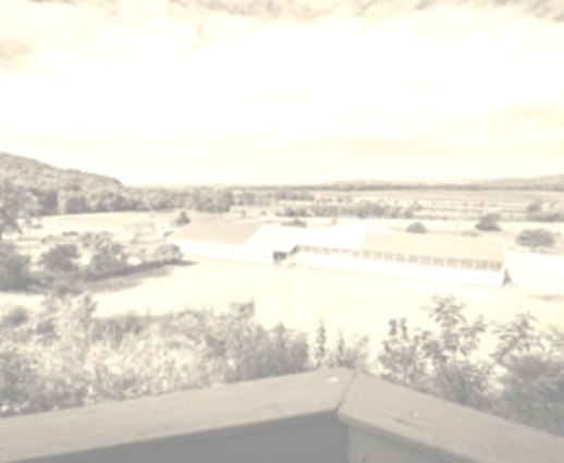 the Inn Image #10