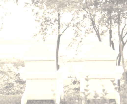 the Inn Image #1