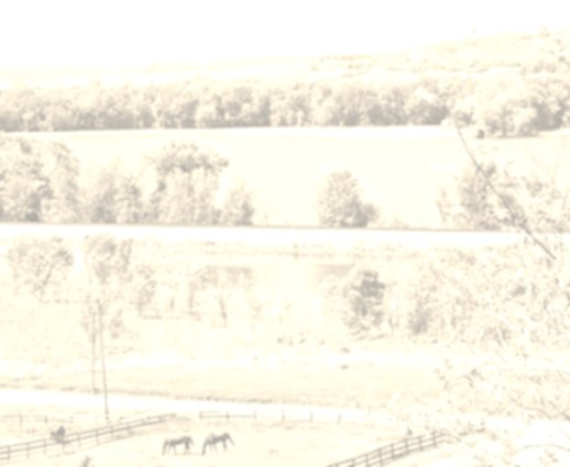 the Inn Image #3