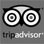 Trip Advisor Icon