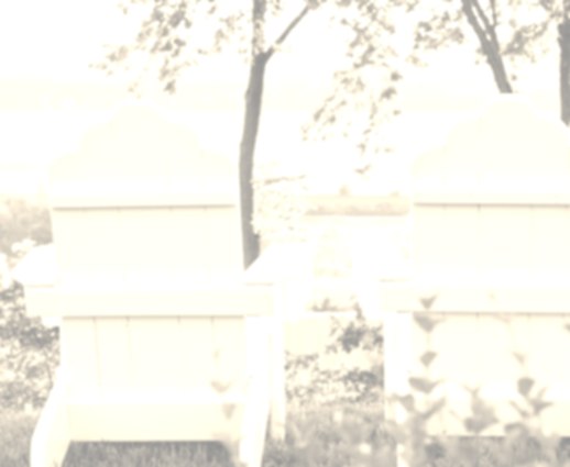 the Inn Image #3